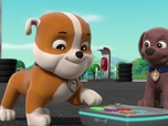 Replay Paw Patrol, la Pat'Patrouille - Mission camion : La Grande Vallée en danger