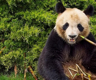 Replay Mission info - 23/11/2025