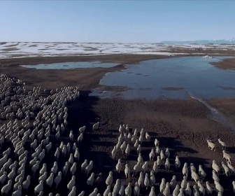 Seuls face au Montana replay