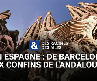 Replay Des Racines et Des Ailes
