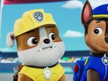 Replay Paw Patrol, la Pat'Patrouille - Les surfeurs des montagnes