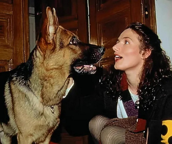 Replay Rex, chien flic - 20/07/2026