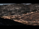 Replay Espagne centrale : les pompiers luttent contre un vaste incendie ravageant des milliers d'hectares