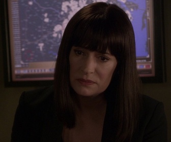 Replay Esprits criminels - S14 E04 - Secret familial