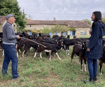 Replay Le goût des rencontres Nouvelle-Aquitaine - Tatin chèvre et poires à Marsais