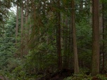 Replay Murder in a small town - S1 E1 - Les suspects