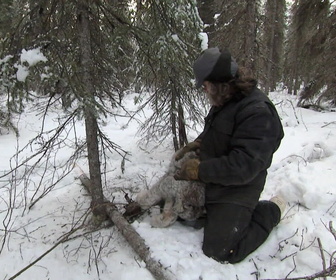Replay Seuls face à l'Alaska - S4E8 - Cadence infernale