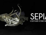 Replay Sépia, l'odyssée d'une seiche