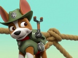 Replay Paw Patrol, la Pat'Patrouille - Le courrier du facteur