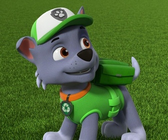 Replay Paw Patrol, la Pat'Patrouille - La ferme en folie