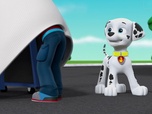 Replay Paw Patrol, la Pat'Patrouille - La machine à rétrécir