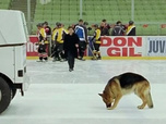 Replay Rex, chien flic - Dopage