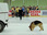 Replay Rex, chien flic