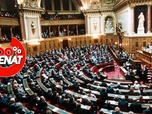 Replay 100% Sénat - Le Sénat adopte un texte pour lutter contre la vie chère dans les outre-mer