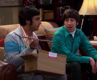 Replay The Big Bang Theory - S5E17 - La guerre du bureau