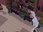 Replay Oum le dauphin blanc