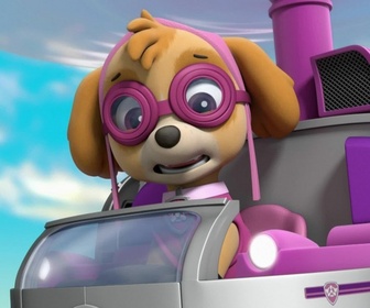 Replay Paw Patrol, la Pat'Patrouille - Les bébés autruches