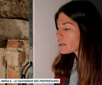 Replay Un jour, un doc week-end - La mérule : le cauchemar des propriétaires / Immobilier : propriétaires de plus en plus jeunes