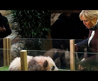 Replay La Première dame de France visite un centre de reproduction des pandas en Chine