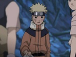 Replay Naruto - S8 E2 - L'adresse du paon dédommagé