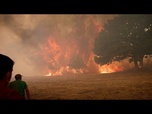 Replay Feux de forêt : une année noire pour l'Europe
