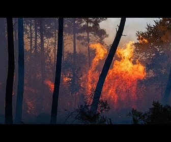 Replay Incendies : la France demande l'activation du mécanisme de protection civile de l'UE