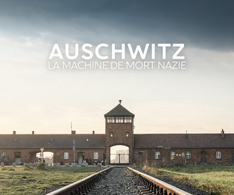Replay Auschwitz, la machine de mort nazie