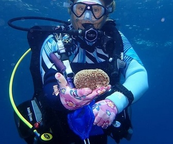 Replay 28 minutes - Sandrine Treyvaud, jardinière de la mer