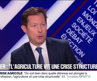 Replay BFM Politique - Nous continuerons de nous battre contre ce traité du Mercosur, déclare François-Xavier Bellamy (vice-président des Républicains)