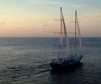 Replay Pourvu que ça dure + - Le vent pour décarboner le transport maritime ?