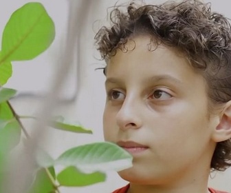 Replay ARTE Journal Junior - Portrait d'enfant : Alexandre à Nova Iguaçu