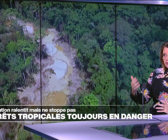 Replay Élément Terre, la quotidienne - La déforestation des forêts tropicales ralentit mais ne stoppe pas