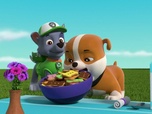 Replay Paw Patrol, la Pat'Patrouille - La plus grosse omelette du monde