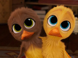 Replay La famille Weasy - Mission animal de compagnie
