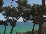Replay Barcelone / Hong Kong / Lituanie - Invitation au voyage