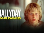 Replay Hallyday par David - 23/06/2026