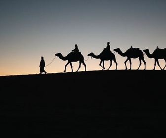 Replay Est-il vrai que seule la soie transitait par la route de la soie ?