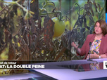 Replay Élément Terre, la quotidienne - Le retour d'El Niño aggrave la catastrophe climatique