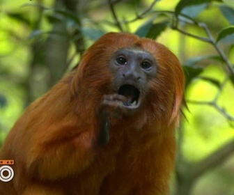 Replay Une saison au zoo - S12 E35
