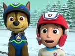 Replay Paw Patrol, la Pat'Patrouille - La tempête de neige