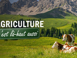 Replay L'agriculture, c'est là-haut aussi