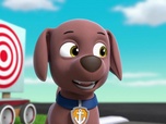 Replay Paw Patrol, la Pat'Patrouille - La Kermesse de la Grande Vallée