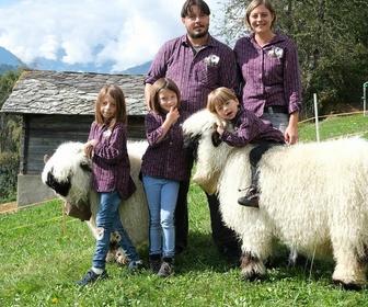 Replay À regarder en famille - Moutons blancs, nez noirs : les chouchous du Valais