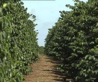 Replay Destinations - Kenya