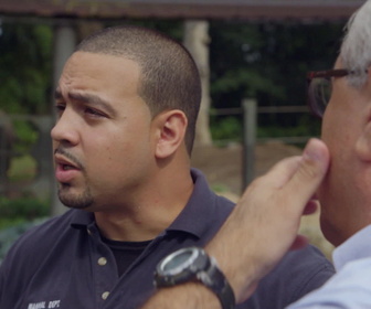 Replay Au cœur du zoo de New York - S3E6 - Le grand gaur