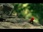 Replay Minuscule : la vallée des fourmis perdues