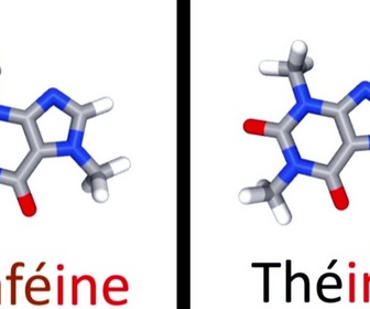 Replay e=m6 - Beurre ou huile, thé ou café, viande rouge ou blanche : 3 matchs arbitrés par la science !