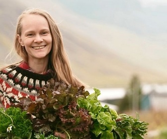 Replay En Islande, le boom de légumes - ARTE Regards