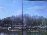 Replay Élément Terre, la quotidienne - Feux de forêt au Canada : plus de 4,5 millions d'hectares brûlés depuis mai
