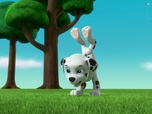 Replay Paw Patrol, la Pat'Patrouille - La Super Patrouille, Puissance Maximale : L'attaque des trois super méchants